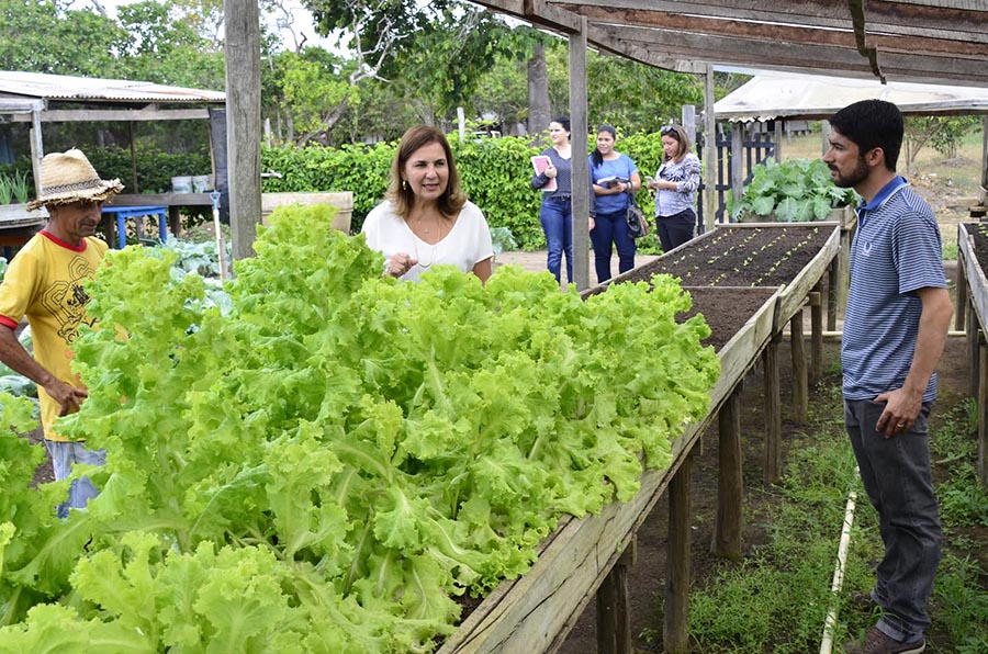 notícia: Seed analisa retorno de ensino integral na Escola Agrícola João Piamarta