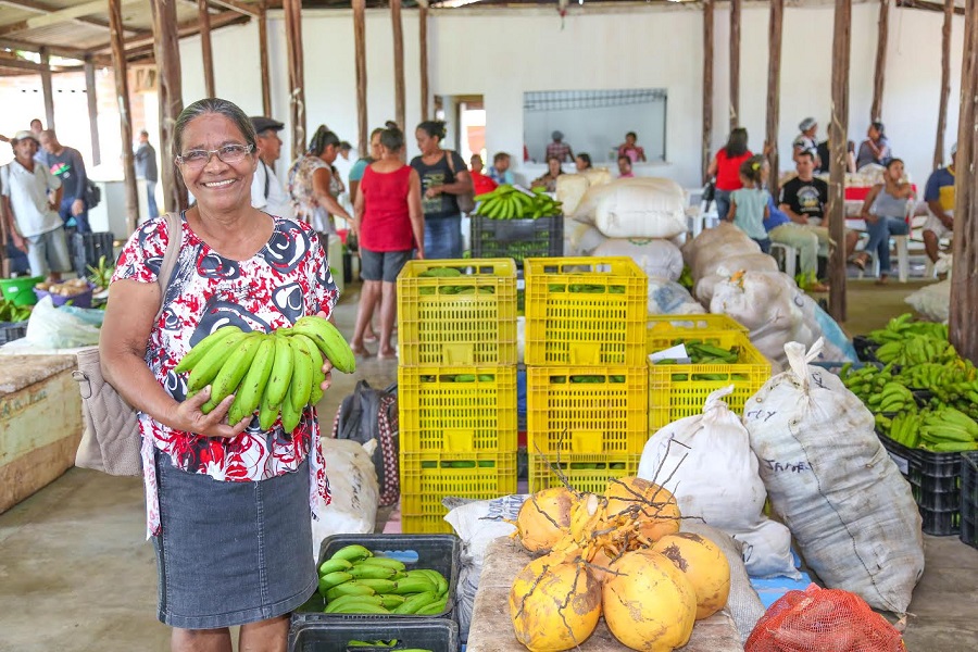 notícia: Cooperativa recebe a primeira anuência para produzir na Floresta Estadual do Amapá