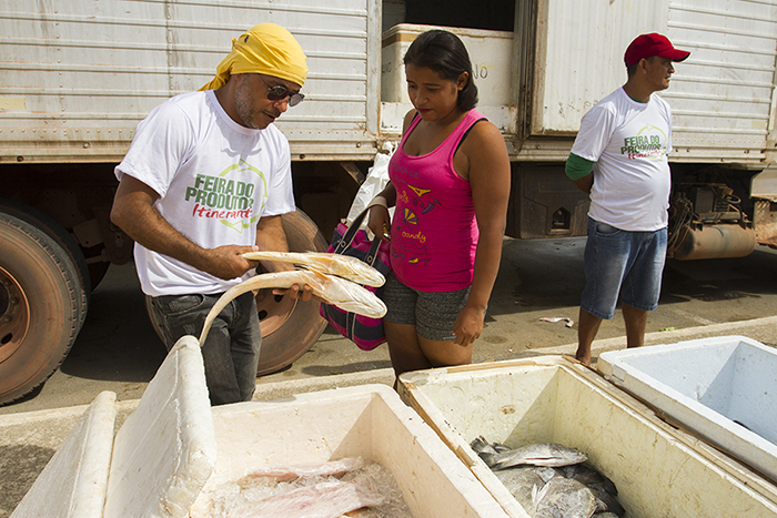 notícia: Programa Mais Peixe terá 50 toneladas de pescado para comercialização