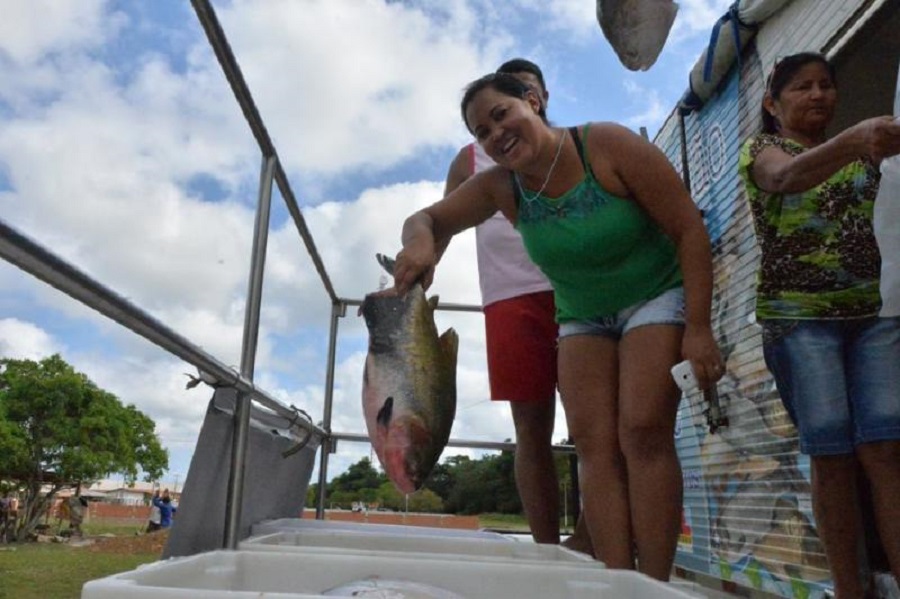 notícia: Pescado por preço acessível abastece empreendedores durante a Festa de São Tiago 