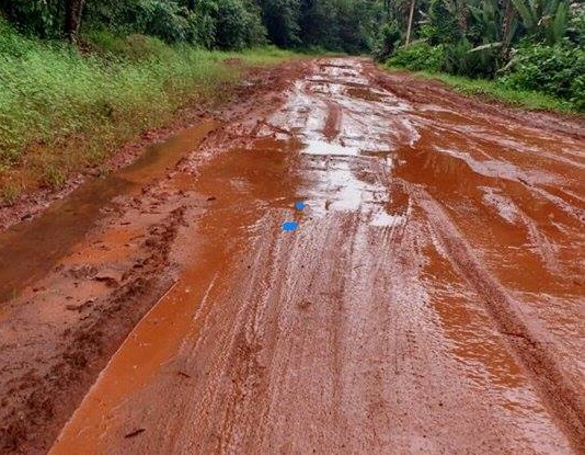 notícia: Conservação e manutenção da BR-156 serão do Dnit em 2017