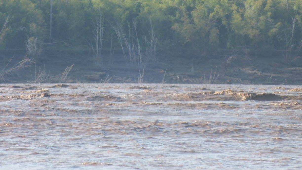 notícia: Nova pororoca chama atenção da população do município de Amapá  