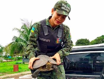 notícia: Fiscalização do Batalhão Ambiental chega a mais 200 capturas de animais silvestres no ano