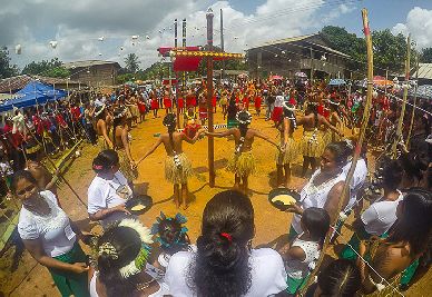 notícia: Dança do Turé: a simbologia da identidade indígena do Amapá