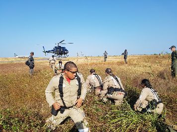 notícia: Estado treina militares para combater incêndios florestais