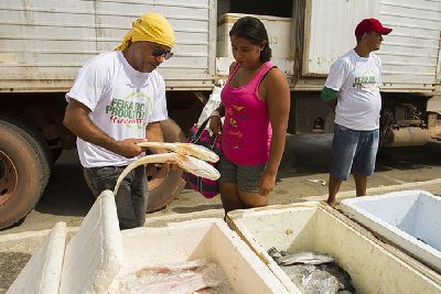 notícia: Peixe Popular: Veja locais e horários de comercialização