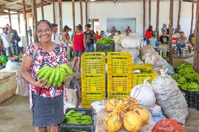 notícia: Atividades agrícolas e extrativistas serão liberadas para famílias da Floresta Estadual