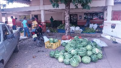 notícia: GEA compra mais de R$ 500 mil em produtos da agricultura familiar de Macapá e Santana 