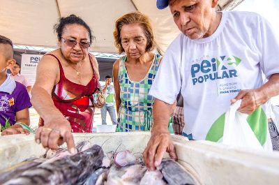 notícia: Consumidores de Macapá e Santana têm acesso a 60 toneladas de pescado a preços populares