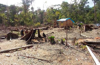 notícia: Imap fiscaliza mineradoras e garimpos clandestinos na região da Flota