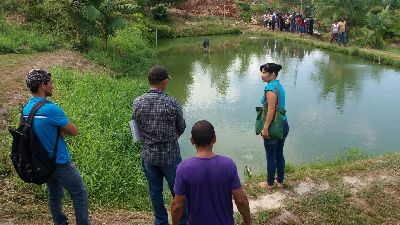 notícia: Produtores rurais de Vitória do Jari aprendem métodos de criação de peixes