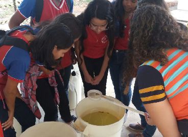 notícia: Estudantes conhecem laboratório de Entomologia Médica do Iepa