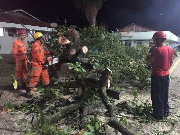 notícia: Corpo de Bombeiros atua para amenizar danos causados por ventania em Santana