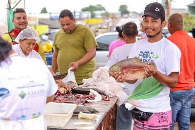 notícia: População lota pontos de venda do Programa Peixe Popular