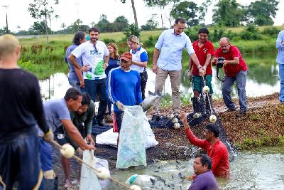 notícia: Programa Peixe Popular incentiva a produção de pescado no Amapá