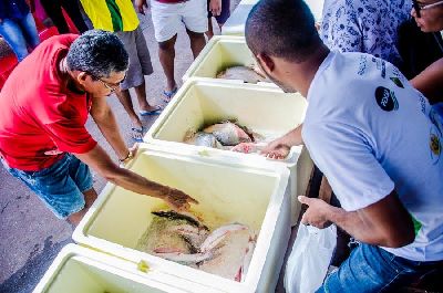 notícia: Programa Peixe Popular movimenta as feiras de Macapá