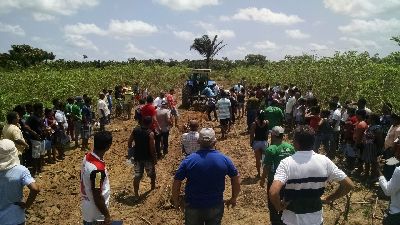 notícia: Agricultores do Mazagão recebem treinamento sobre plantio da mandioca