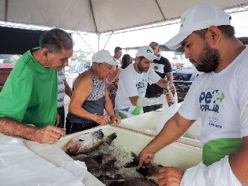 notícia: Programa Peixe Popular movimenta pontos de venda em Macapá