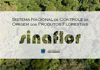 notícia: Amapá finaliza adesão ao Sistema Nacional de Controle Florestal