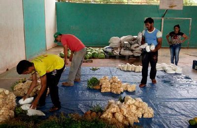 notícia: Programa de Aquisição de Alimentos injetou mais R$ 200 mil na economia de Vitória do Jari