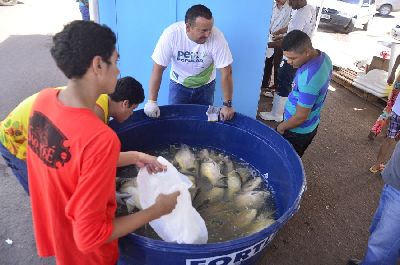 notícia: Programa Peixe Popular oferecerá 10 toneladas de pescado na Festa de São Tiago 