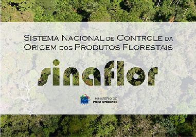 notícia: Amapá adere a sistema integrado de controle de produtos florestais