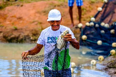 notícia: Governo do Amapá lança calendário do Programa Peixe Popular