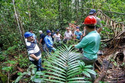 notícia: Amapá terá maior controle na exploração e exportação de produtos madeireiros