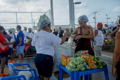 notícia: SDR realiza estudo sobre produção e comércio de farinha