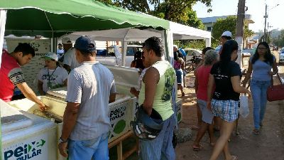 notícia: Peixe Popular comercializa 7 toneladas de pescado em Pedra Branca e Serra do Navio