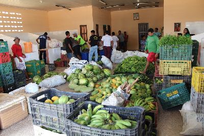 notícia: Estado compra R$ 21 mil em alimentos de produtores locais para escolas em Itaubal