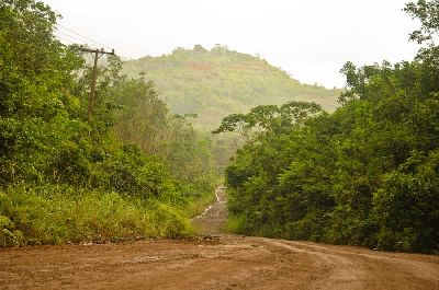 notícia: Governo combate demarcações irregulares na Floresta Estadual do Amapá 