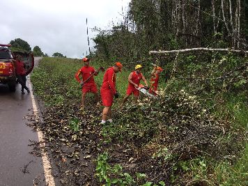 notícia: Corpo de Bombeiros atua na retirada de árvores que obstruíam a BR-156