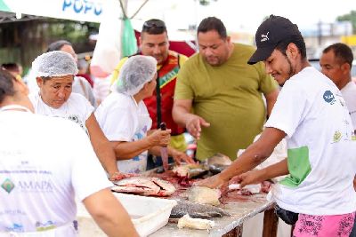 notícia: Programa Peixe Popular movimenta mais de R$ 900 mil em pescado no Amapá