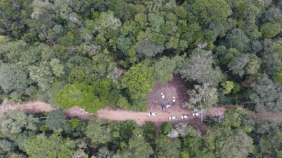 notícia: Governo do Amapá vai sancionar nova fonte de receita a partir de créditos florestais