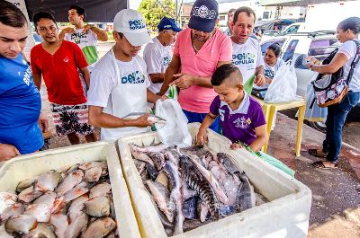 notícia: Projeto Peixe Popular deve ofertar cerca de 150 toneladas de pescado na Semana Santa