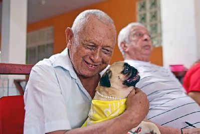 notícia: Terapia com uso de cães ameniza depressão e estresse de idosos no Abrigo São José