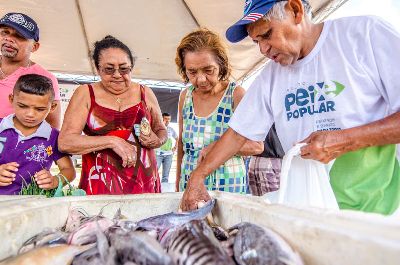 notícia: Governo inicia cadastramento de piscicultores para o projeto Peixe Popular