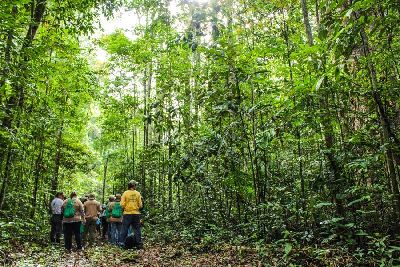 notícia: ‘Junho Verde’ terá torneios esportivos e palestras sobre meio ambiente