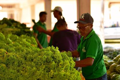 notícia: PAA: Governo divulga chamada pública para seleção de agricultores e entidades 