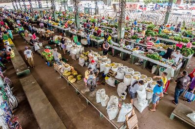 notícia: Governo lançará certificação para produtos de origem amapaense dia 30 de janeiro