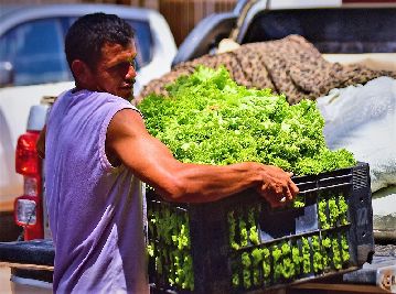 notícia: Orçamento do PAA para 2018 é de R$ 4 milhões