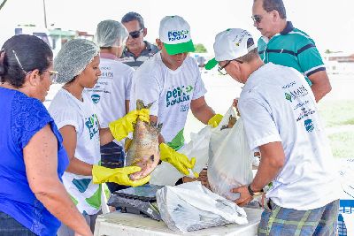 notícia: Dia de São Pedro: Ação do Peixe Popular terá degustação e venda de pescado