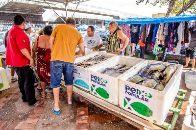 notícia: Peixes podem ser comprados com preços abaixo do mercado a partir desta terça-feira, 27