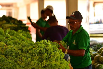 notícia: PAA vai injetar mais R$ 1,5 mi na agricultura familiar do Amapá