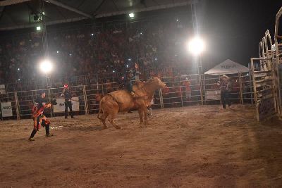 notícia: Leilão e final do rodeio marcam encerramento da 28ª Agropesc