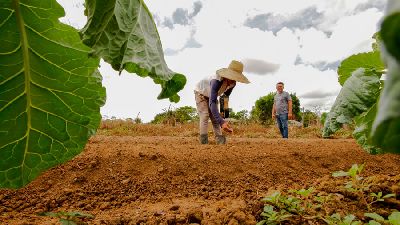 notícia: Amapá e Banco da Amazônia assinam protocolo de investimentos de mais de R$ 400 milhões