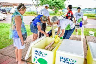 notícia: Peixe Popular: Governo estima comercialização de 150 toneladas de pescado na Semana Santa