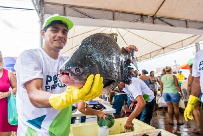 notícia: Ação do Peixe Popular na Semana Santa rende R$ 1,1 milhão com a venda de 110 toneladas