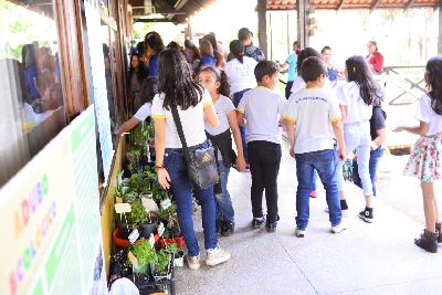 notícia: Estudantes expõem produções de hortas escolares e trocam experiências em mostra ambiental